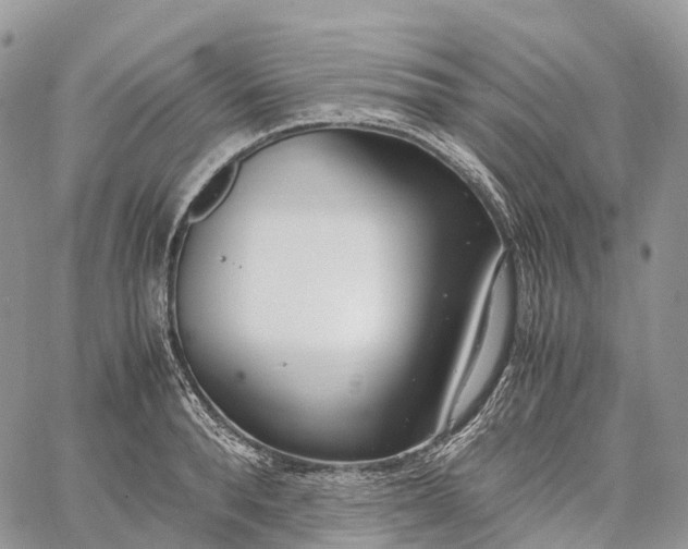 X0000062670896200601041006