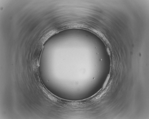 X0000062670897200601041006