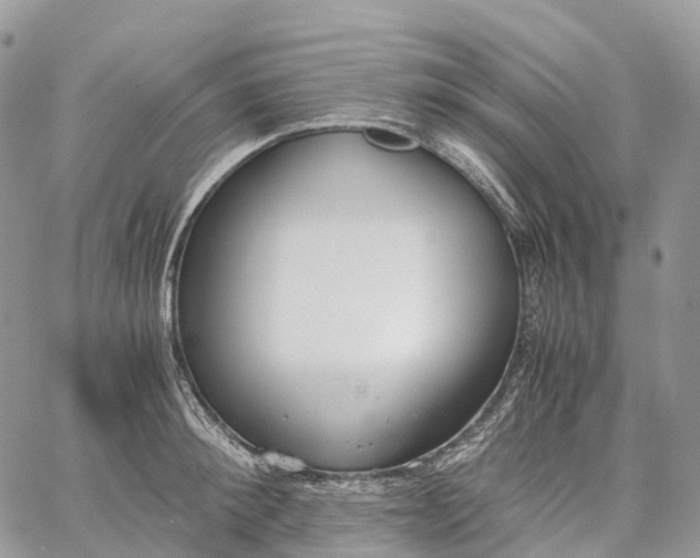 X0000062670900200601041006