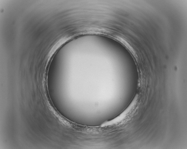 X0000062670901200601041006