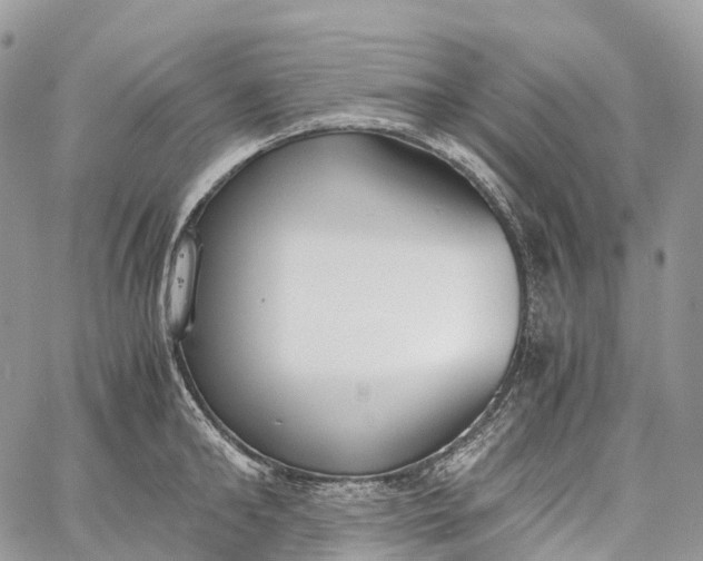 X0000062670902200601041006