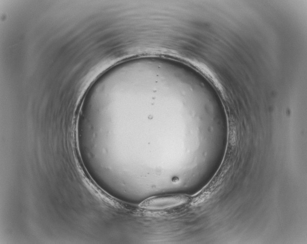 X0000062670903200601041006