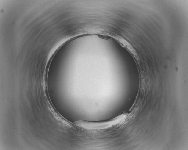 X0000062670904200601041006