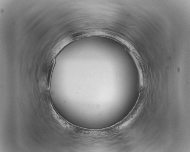 X0000062670905200601041006