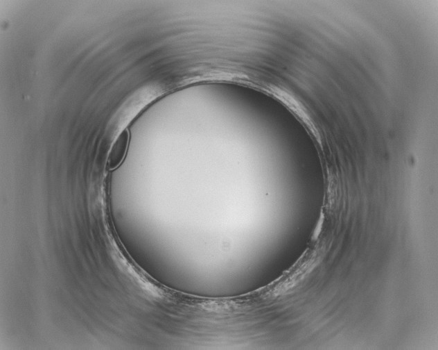 X0000062670906200601041006