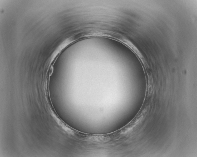 X0000062670909200601041006