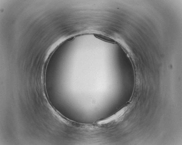 X0000062670910200601041006