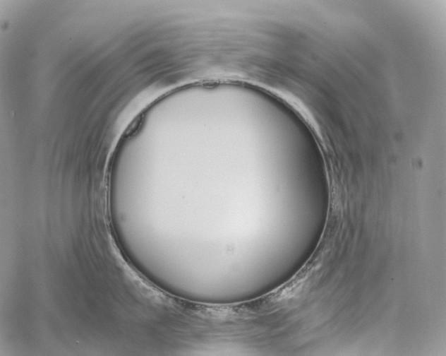 X0000062670911200601041006