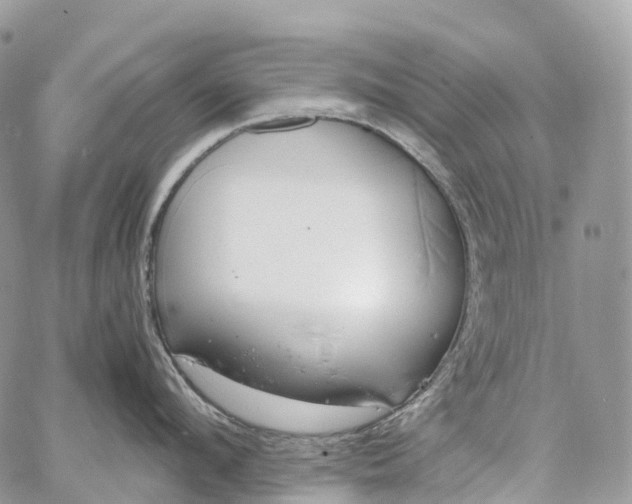 X0000062670912200601041006