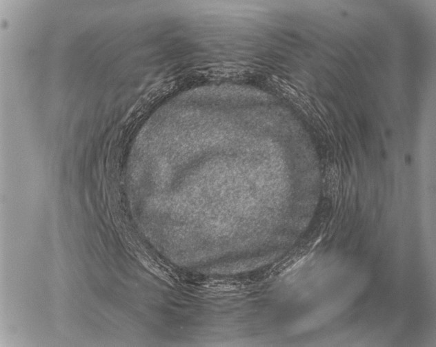 X0000062670913200601041005