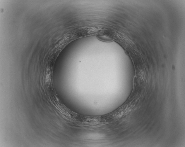 X0000062670914200601041005