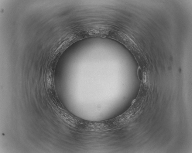 X0000062670915200601041005