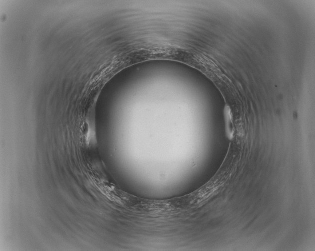 X0000062670916200601041005