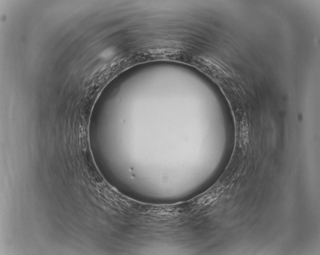 X0000062670917200601041005