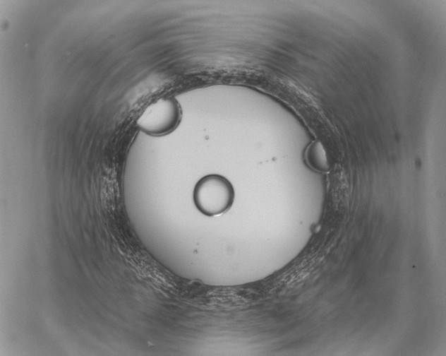 X0000062670918200601041005