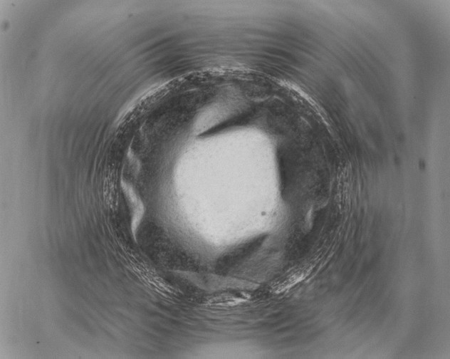 X0000062670919200601041005