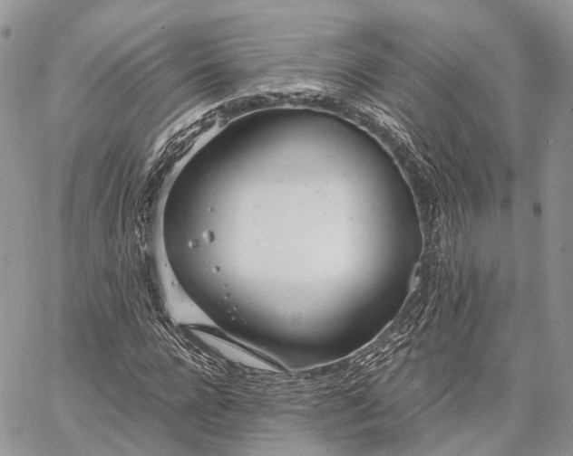 X0000062670920200601041006