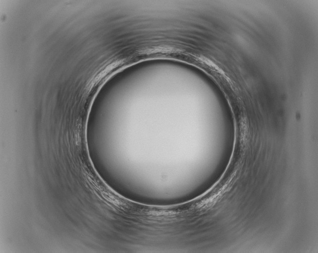 X0000062670921200601041006