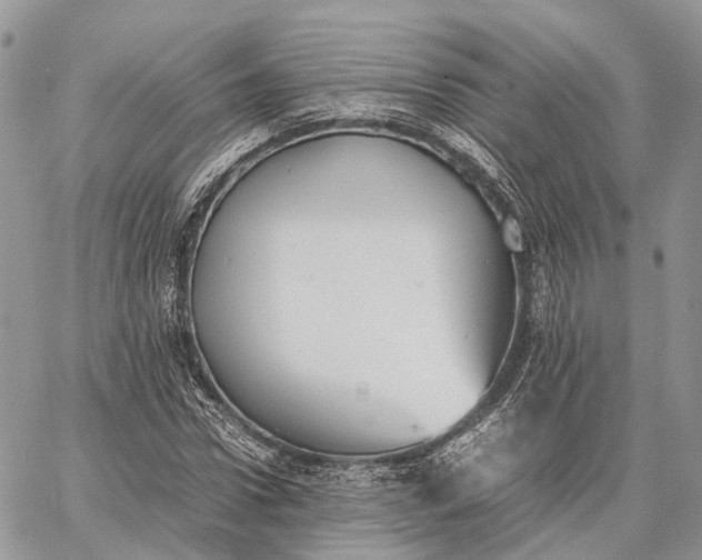 X0000062670922200601041006