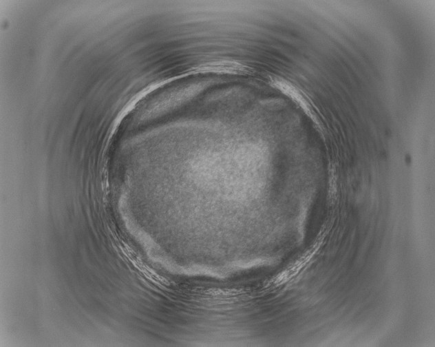 X0000062670923200601041006