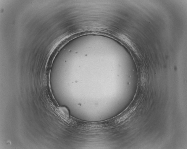 X0000062670924200601041006