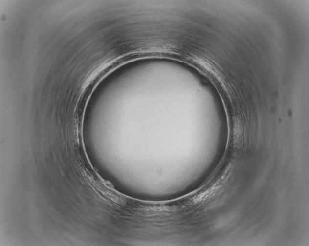 X0000062670925200601041006