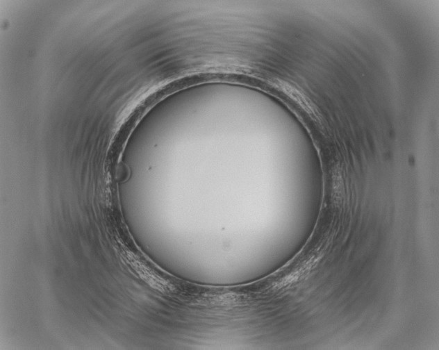 X0000062670926200601041006