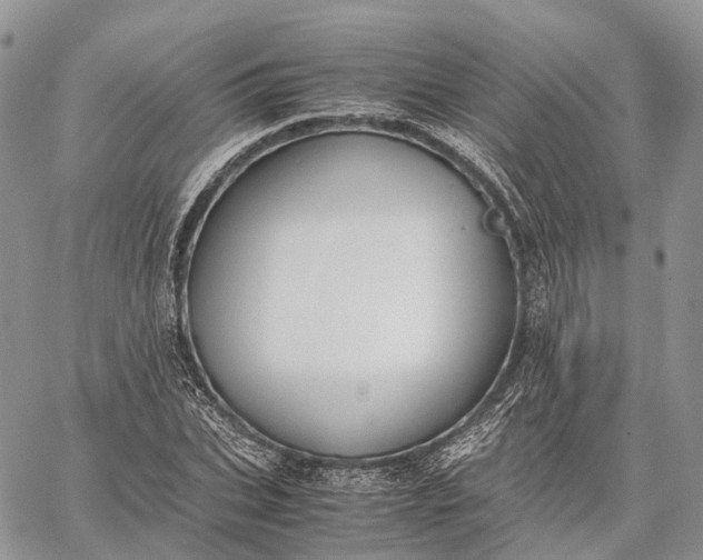 X0000062670927200601041006