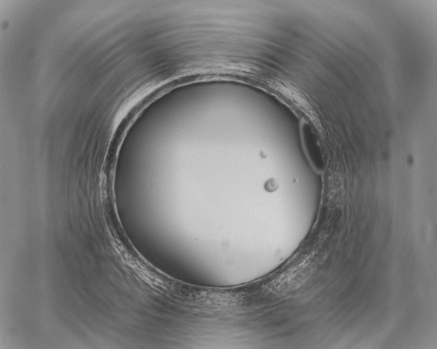 X0000062670928200601041006