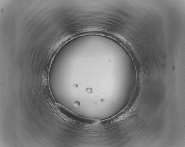 X0000062670929200601041006