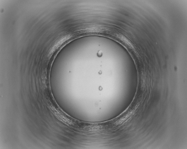 X0000062670930200601041006