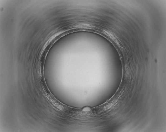 X0000062670931200601041006