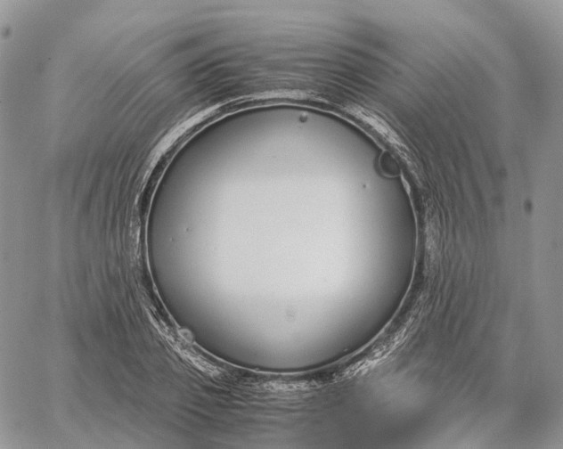 X0000062670933200601041006