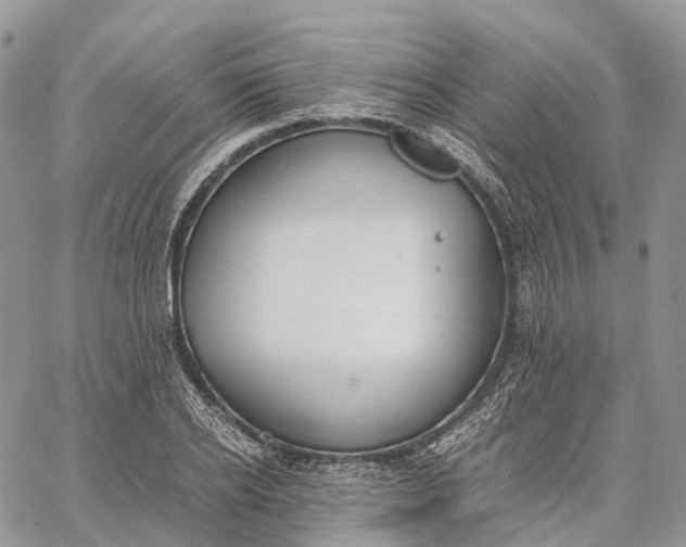 X0000062670934200601041006