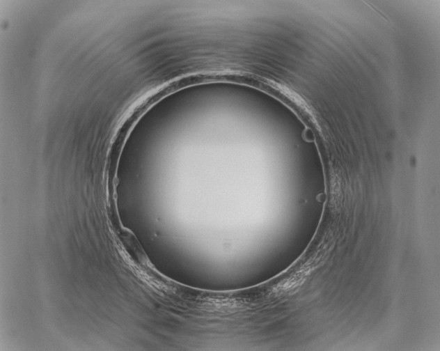 X0000062670935200601041006