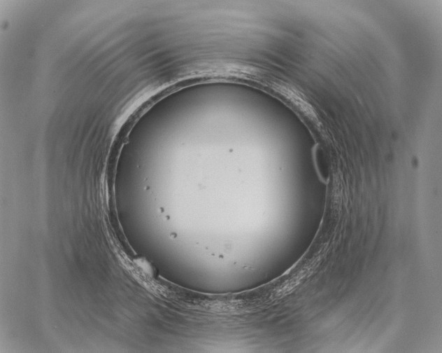 X0000062670936200601041006