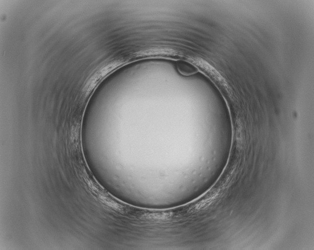 X0000062670937200601041006