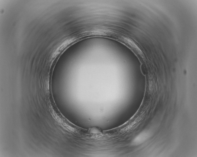 X0000062670938200601041006