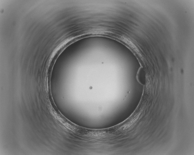 X0000062670939200601041006