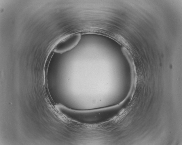 X0000062670940200601041006