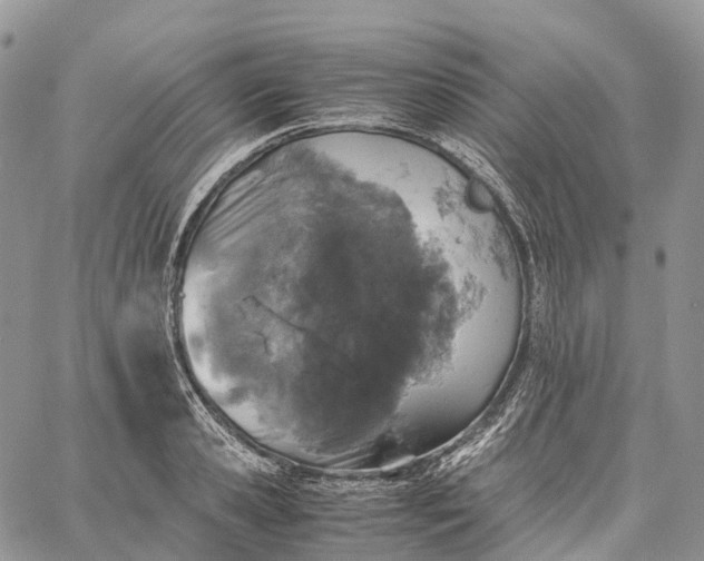 X0000062670941200601041006