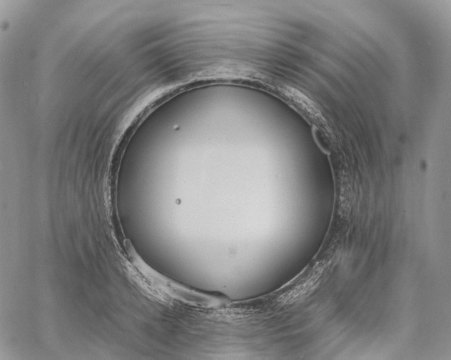 X0000062670942200601041006