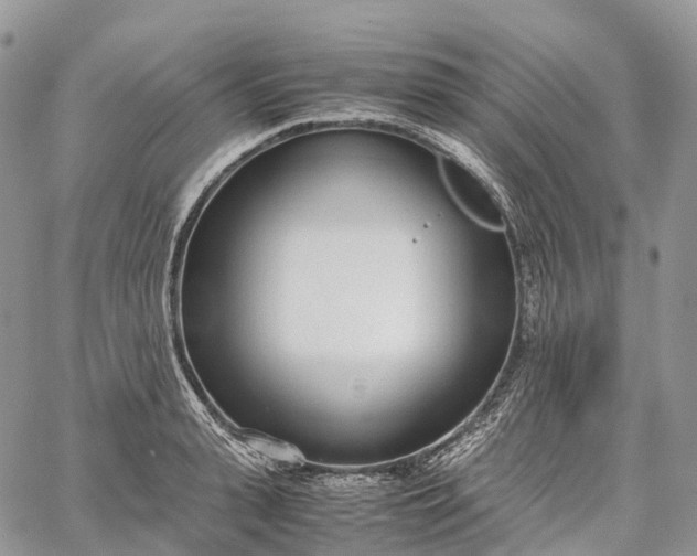 X0000062670943200601041006