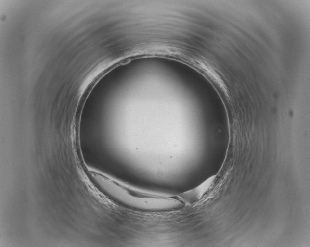 X0000062670944200601041006