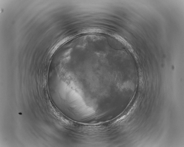 X0000062670945200601041006