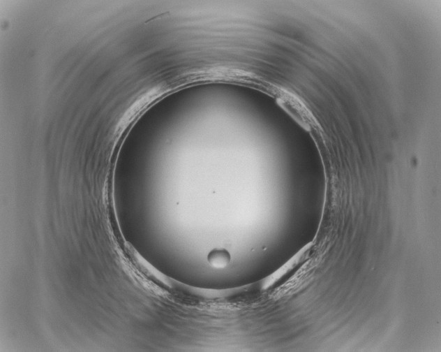 X0000062670946200601041006