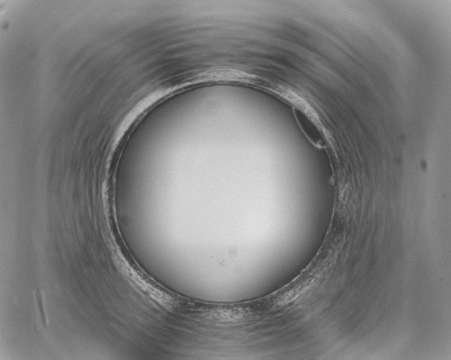 X0000062670947200601041006