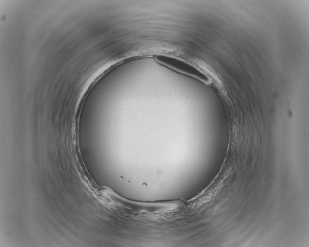 X0000062670948200601041006