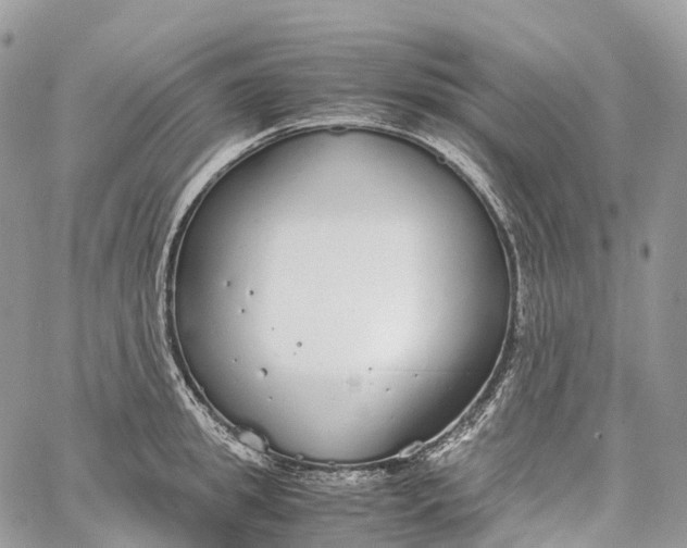 X0000062670949200601041006