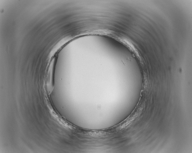 X0000062670952200601041006